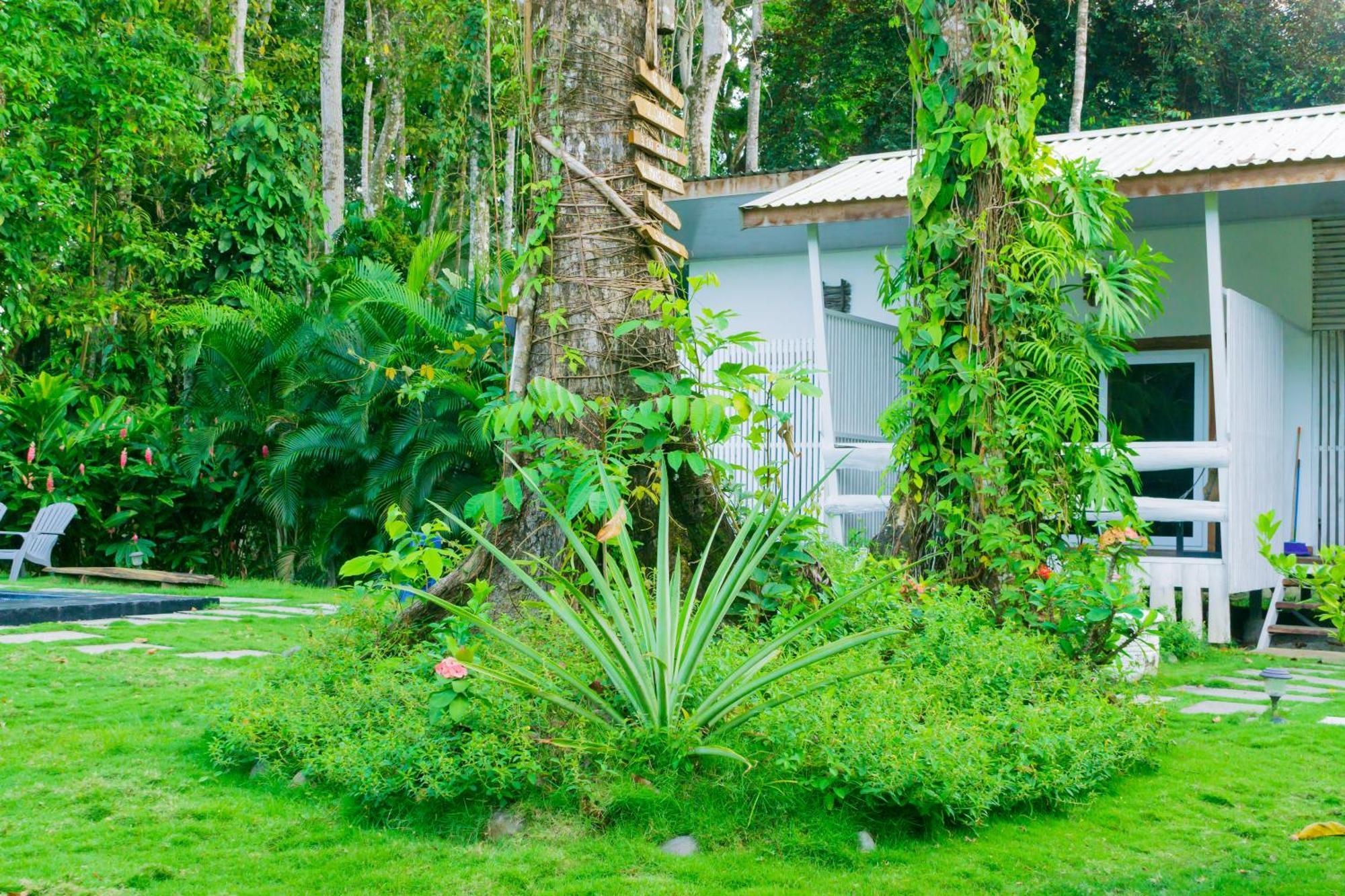 Olivia Del Caribe Suite Puerto Viejo de Talamanca Extérieur photo