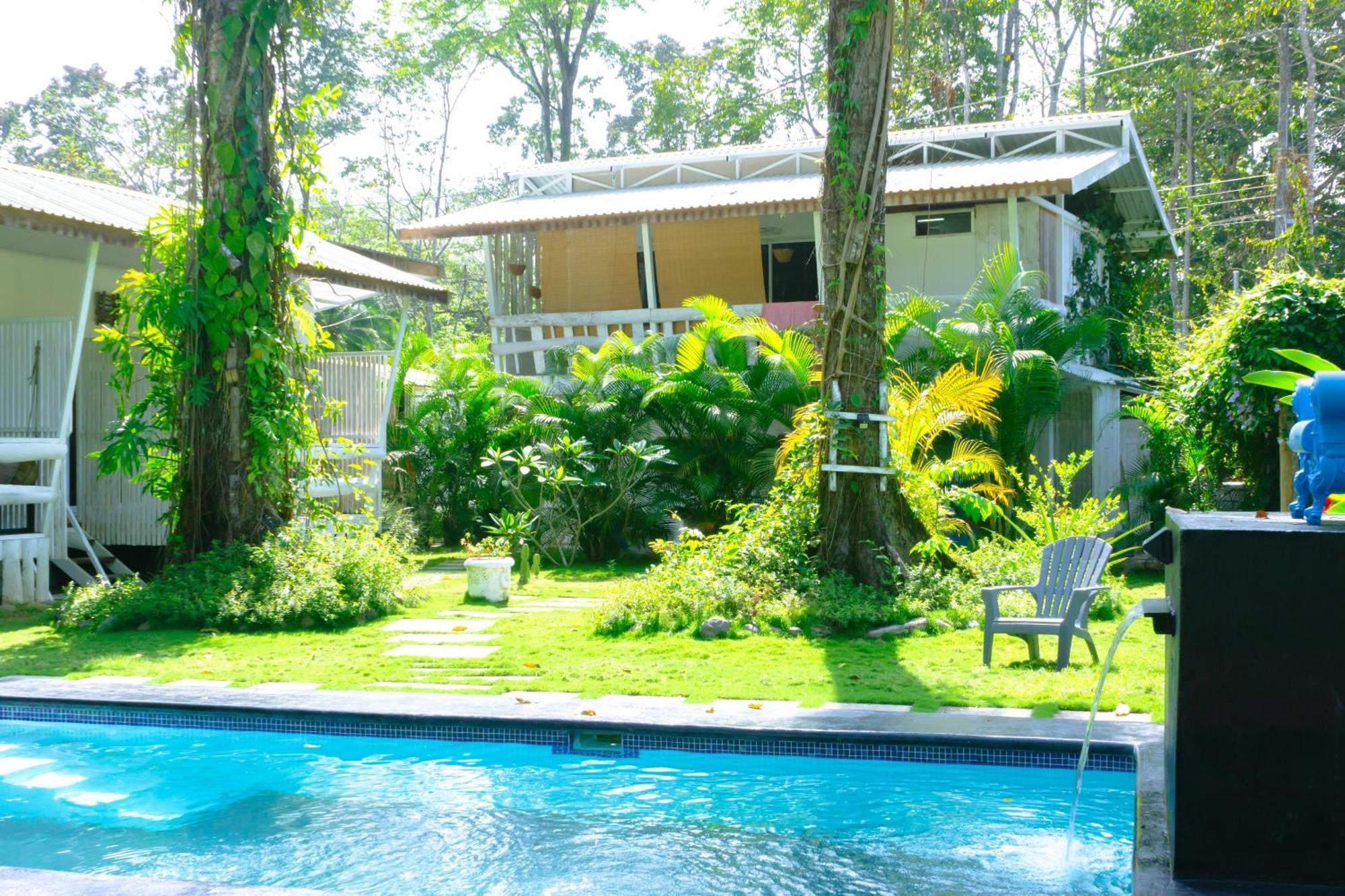 Olivia Del Caribe Suite Puerto Viejo de Talamanca Extérieur photo