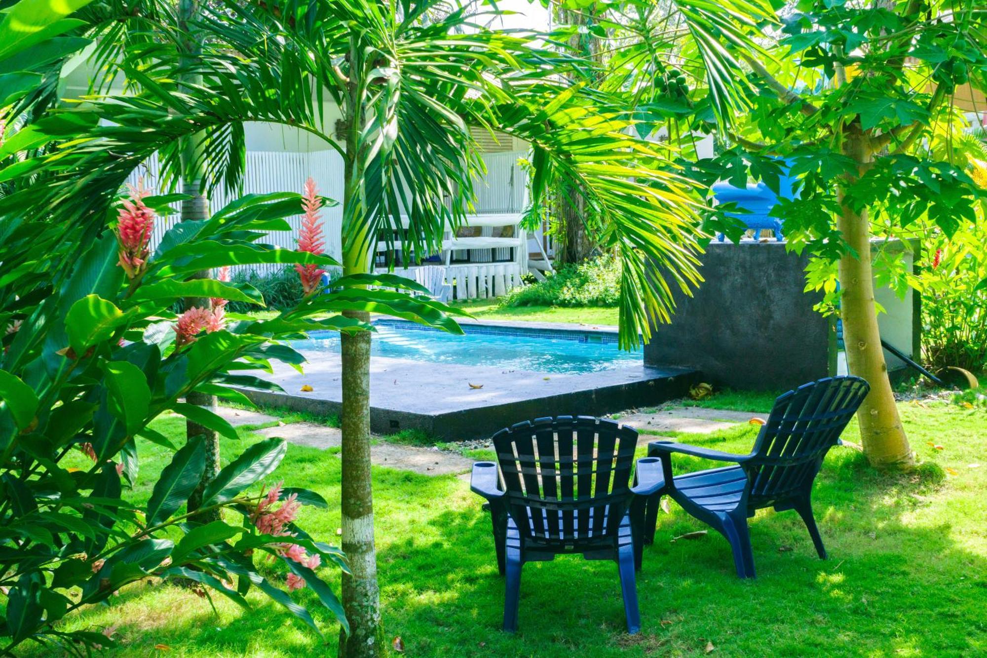 Olivia Del Caribe Suite Puerto Viejo de Talamanca Extérieur photo