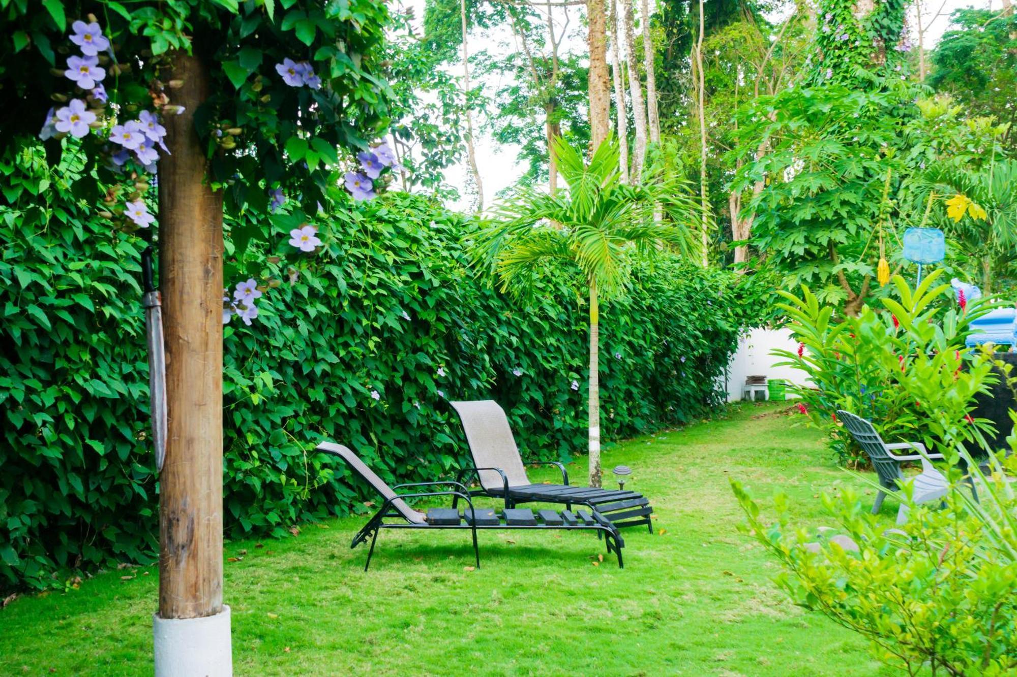 Olivia Del Caribe Suite Puerto Viejo de Talamanca Extérieur photo