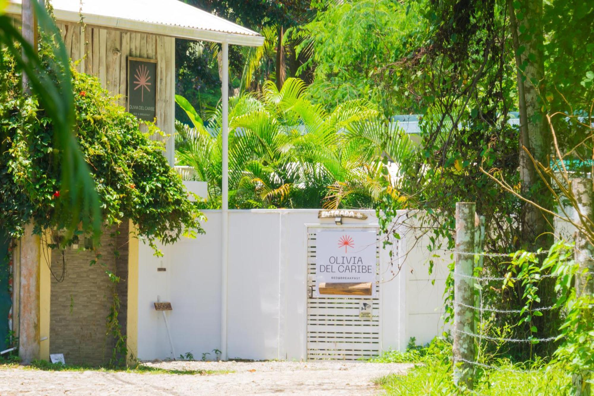 Olivia Del Caribe Suite Puerto Viejo de Talamanca Extérieur photo